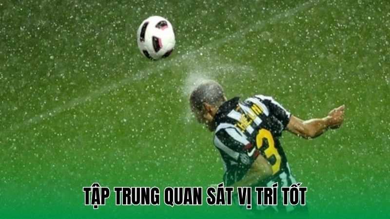 Tập trung quan sát vị trí tốt